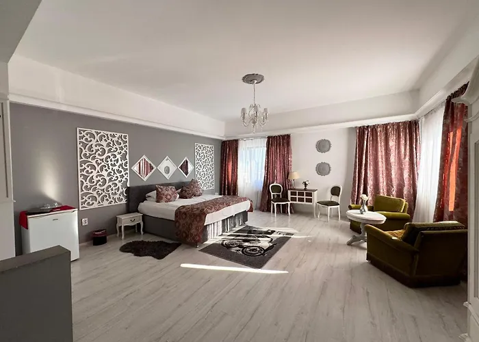 Hotel Zen-aeroport 3*