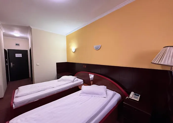 Zen-aeroport Otel 3*