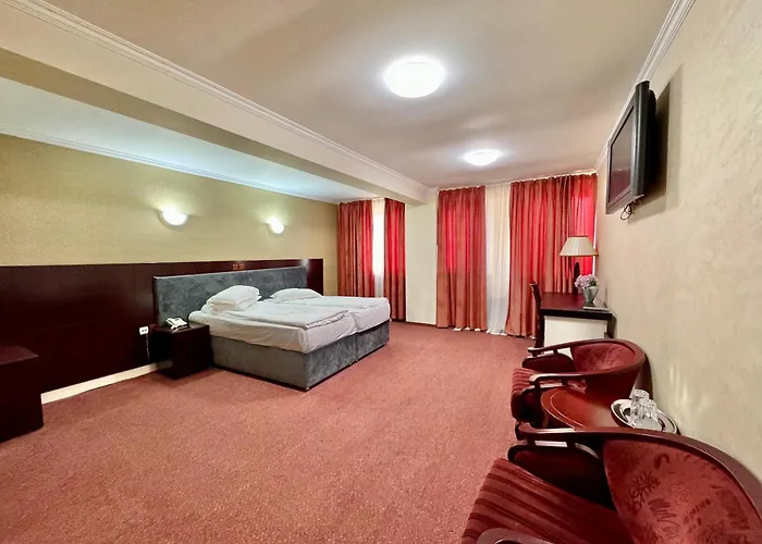 Zen-aeroport Hotel 3*