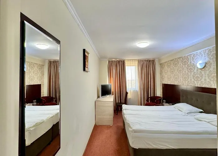 Hotel Zen-aeroport 3*