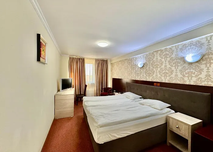 Zen-aeroport Hotel 3*