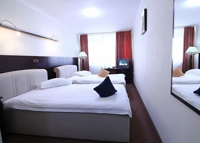 Zen-aeroport Hotel 3*