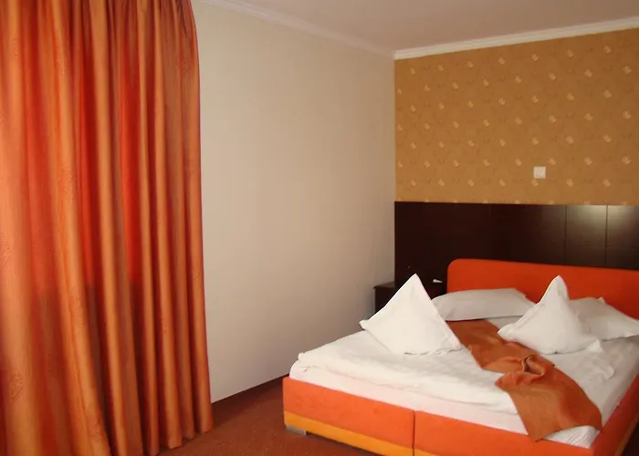 Zen-aeroport Hotel 3*